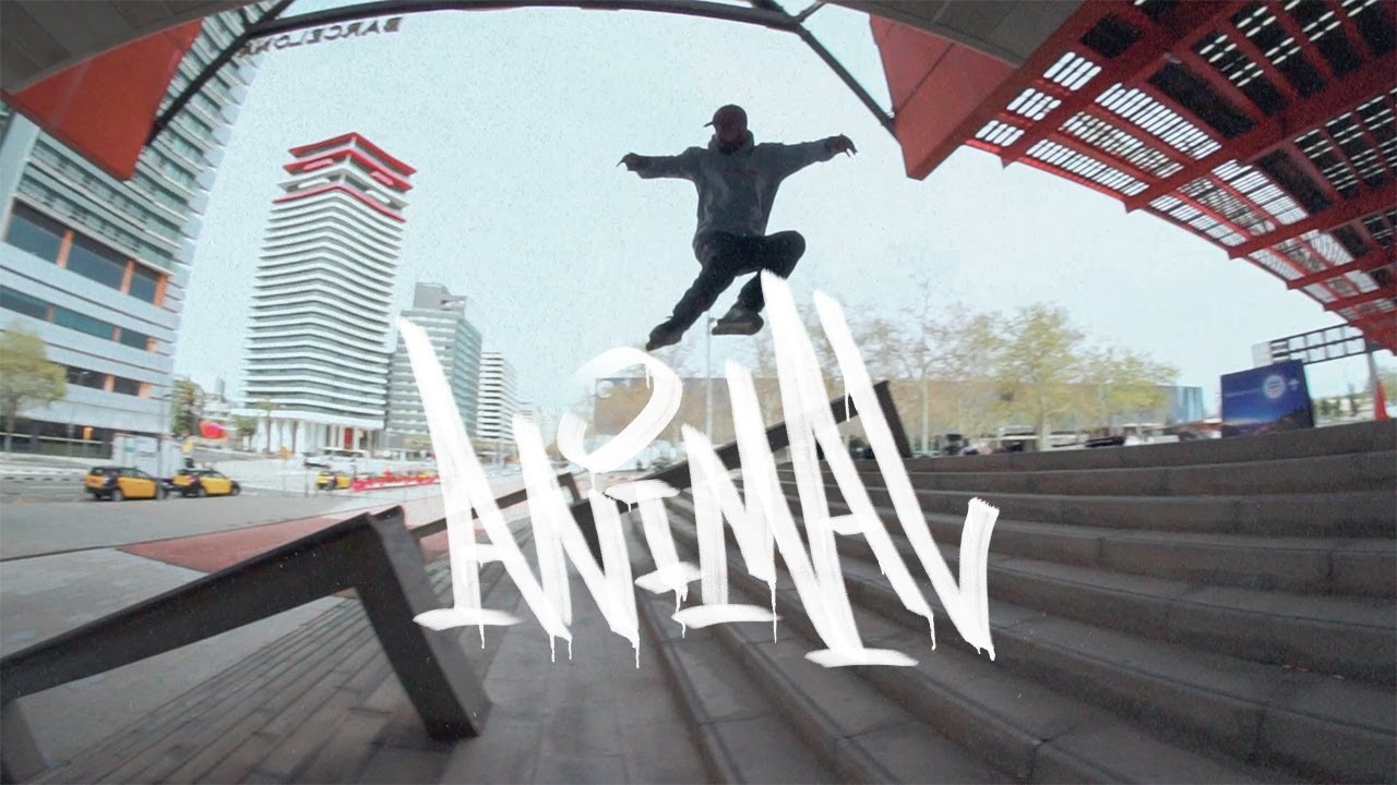 Video Preview