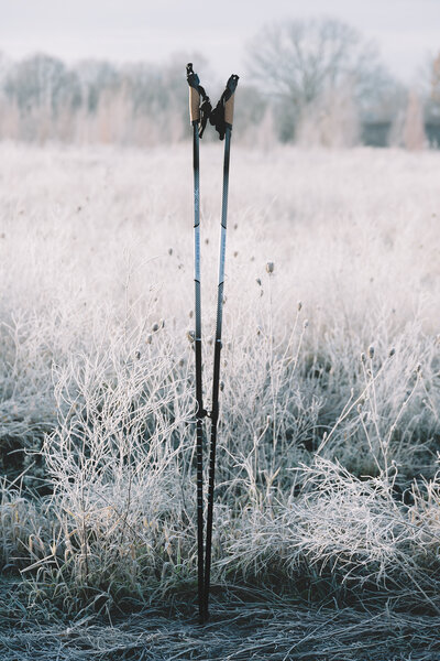 Powerslide - Nordic Carbon Poles adj. - in action